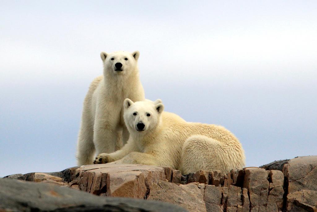 Funken Lodge Longyearbyen Luaran gambar